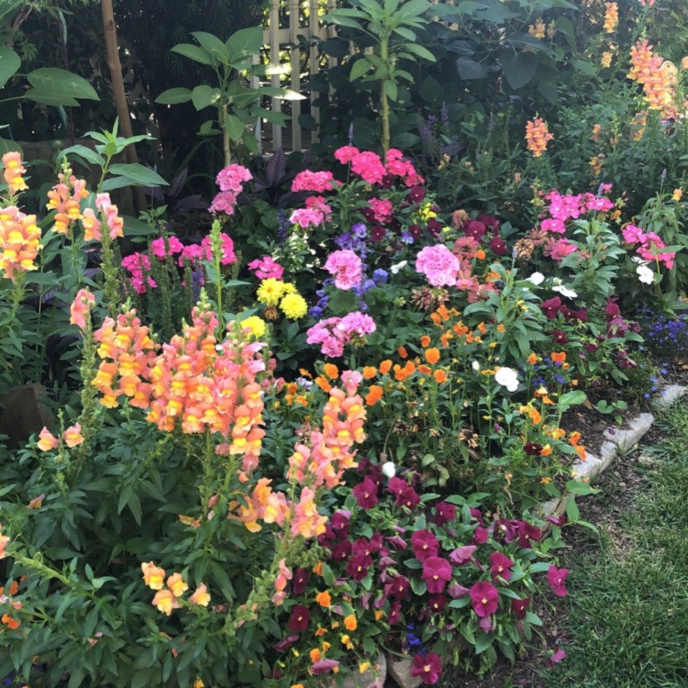 Meet your Posher, Louisa